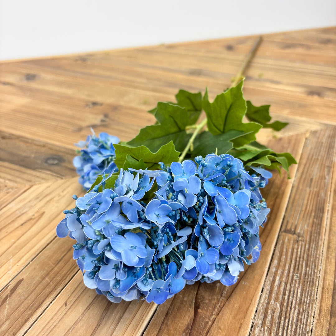 Real Feel Viburnum - 3 Colors