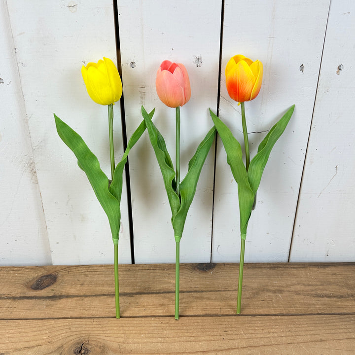 Real-Feel Single Jumbo Tulip Stem