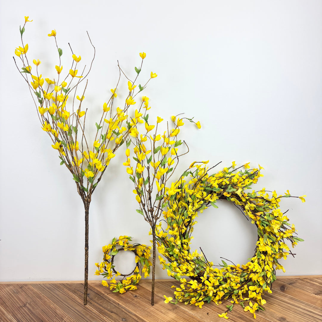 Forsythia Collection