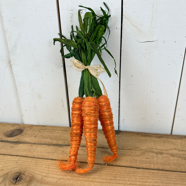 Carrot Bundles