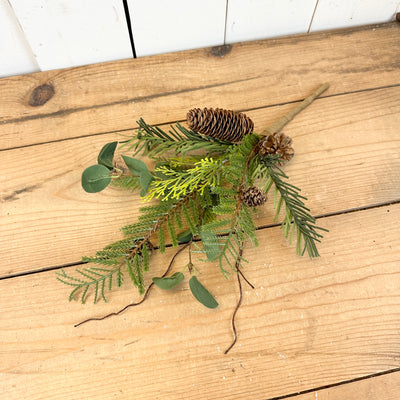 Mixed Pine Stem
