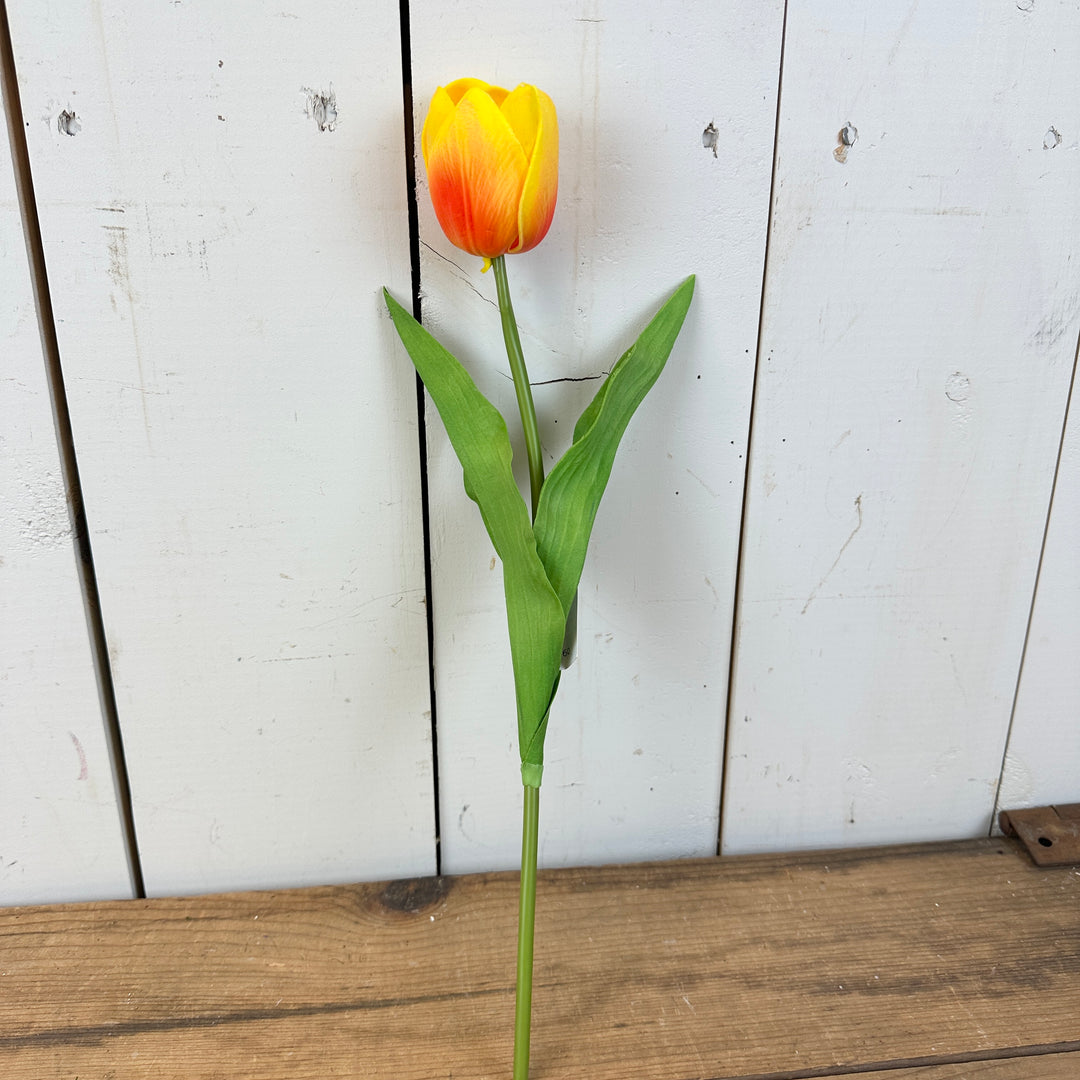 Real-Feel Single Jumbo Tulip Stem