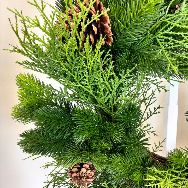 Evergreen Collection