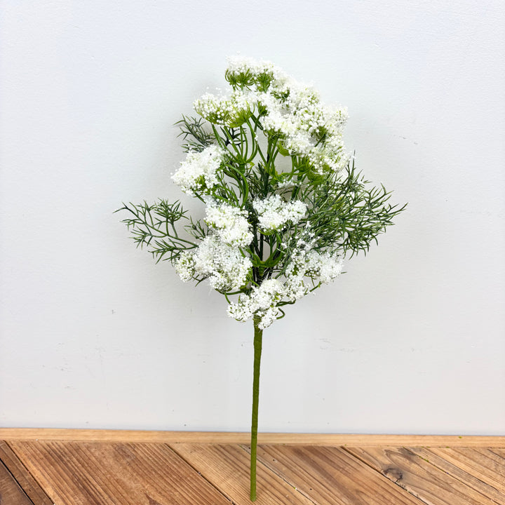 Queen Anne's Lace Stem