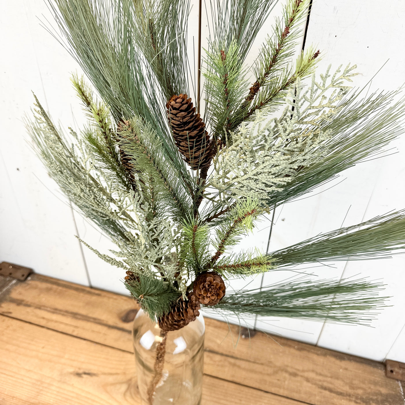 Long Cedar and Pine Stem