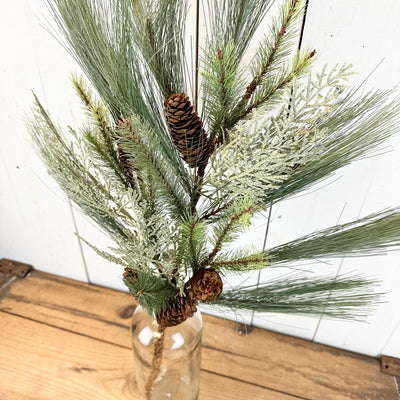 Long Cedar and Pine Stem