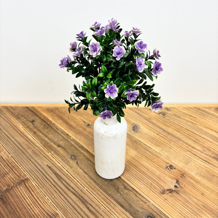 Mini Azalea Bush - 2 Colors