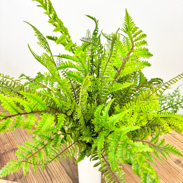 Soft Touch Mixed Fern Bush