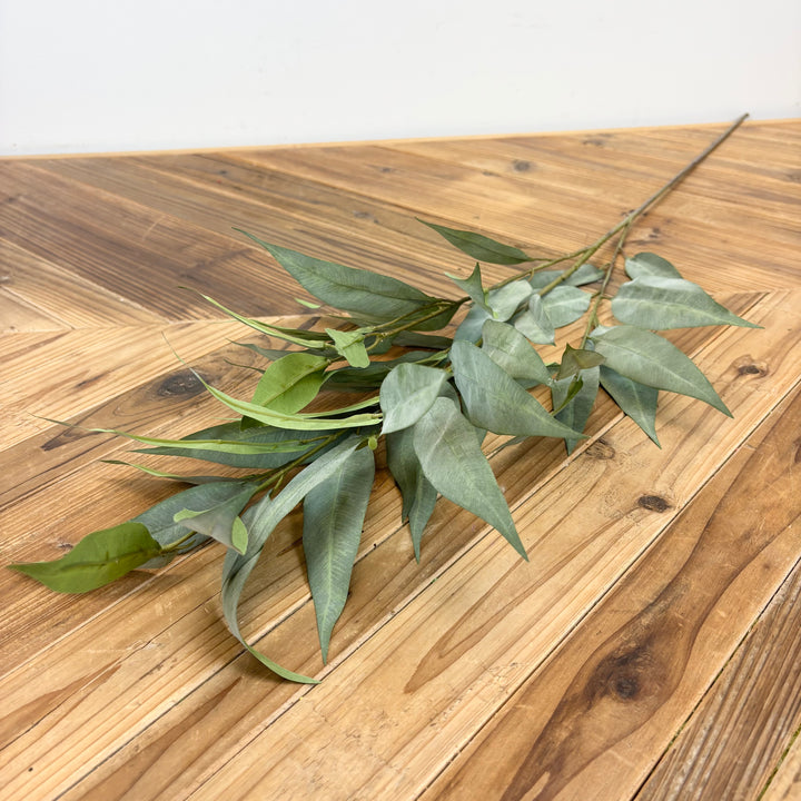 Willow Eucalyptus Spray