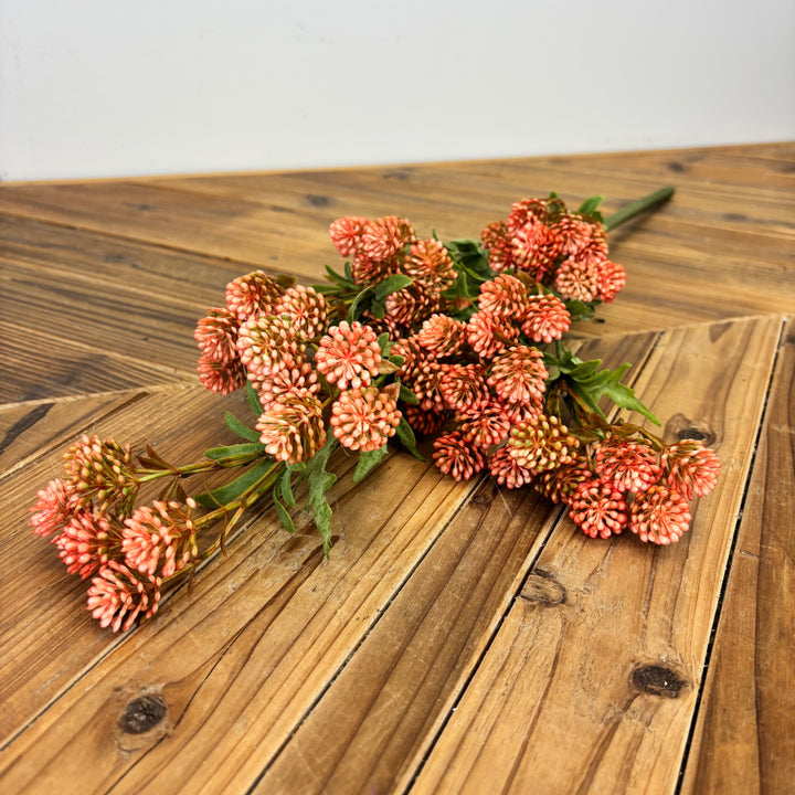 Sedum Bouquet - 2 Colors
