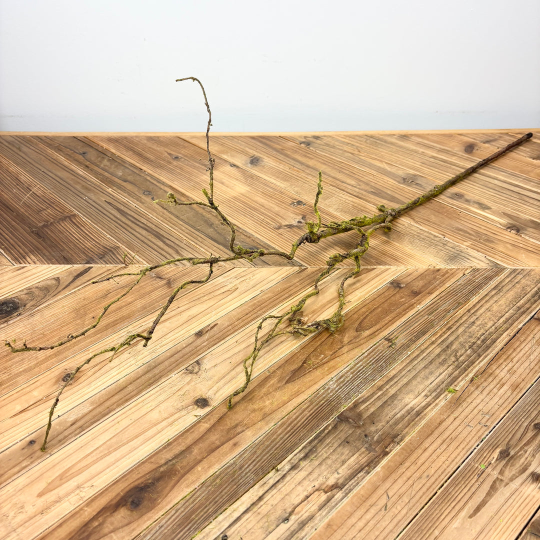 Mossy Twig Spray