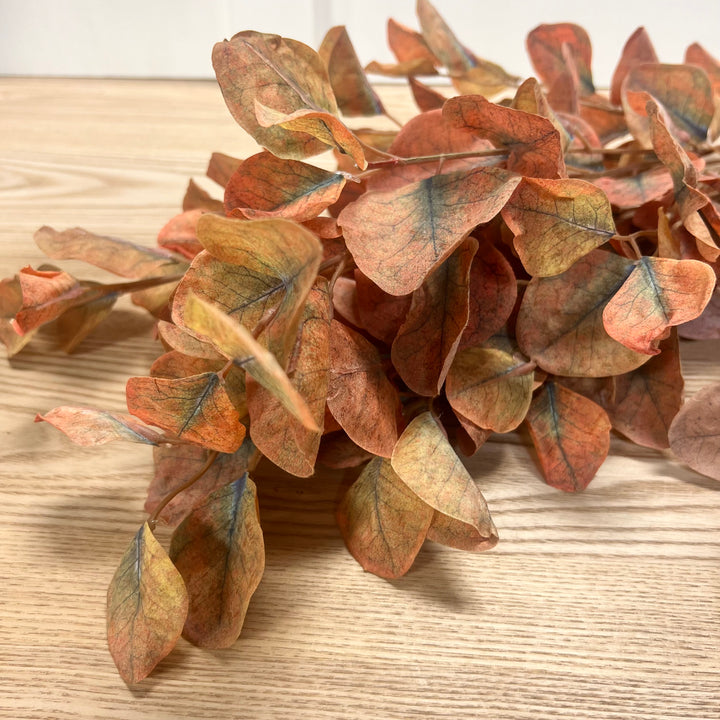 Fall Eucalyptus Bundles