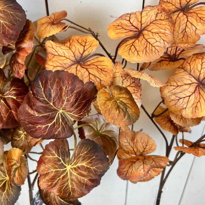 Ginkgo Leaf Stems