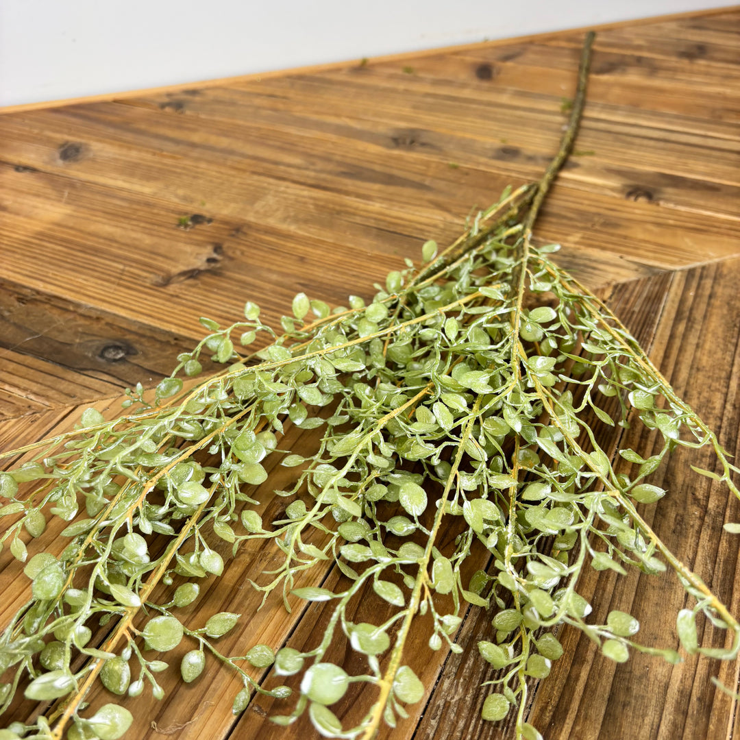 Button Leaf Collection