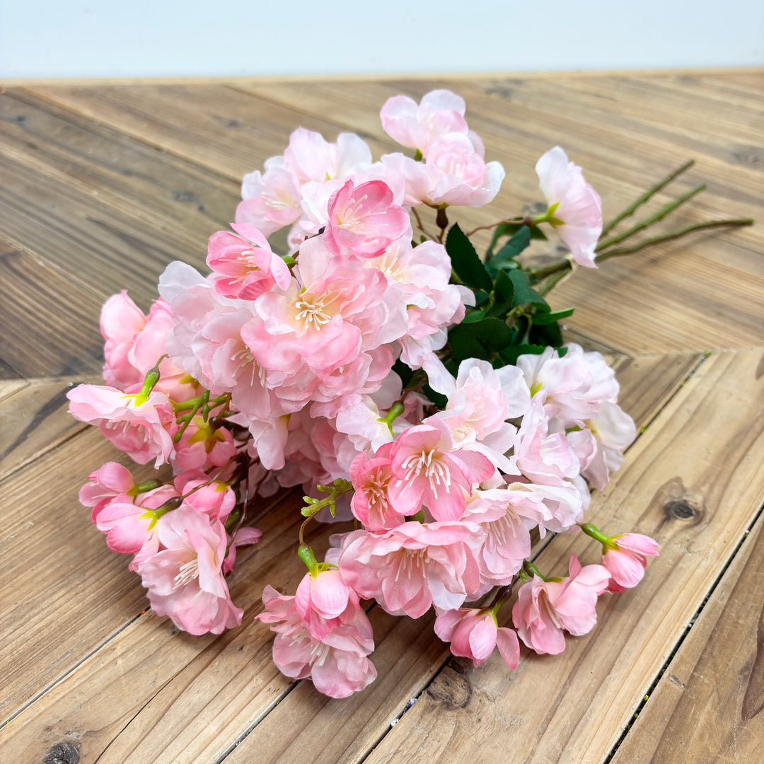 Cherry Blossom Bundle