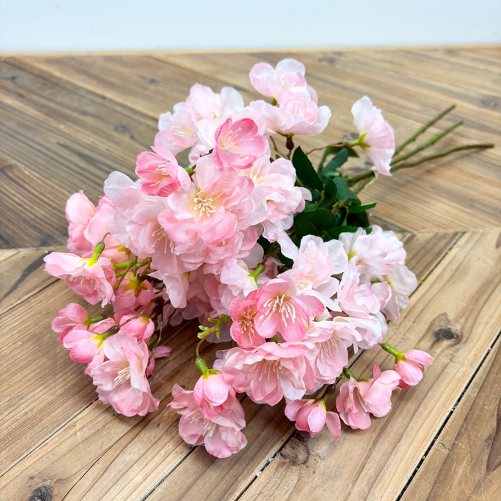 Cherry Blossom Bundle