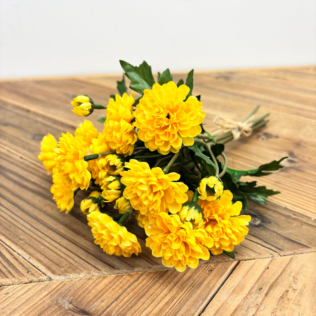 Wild Mum Bundle - 4 Colors