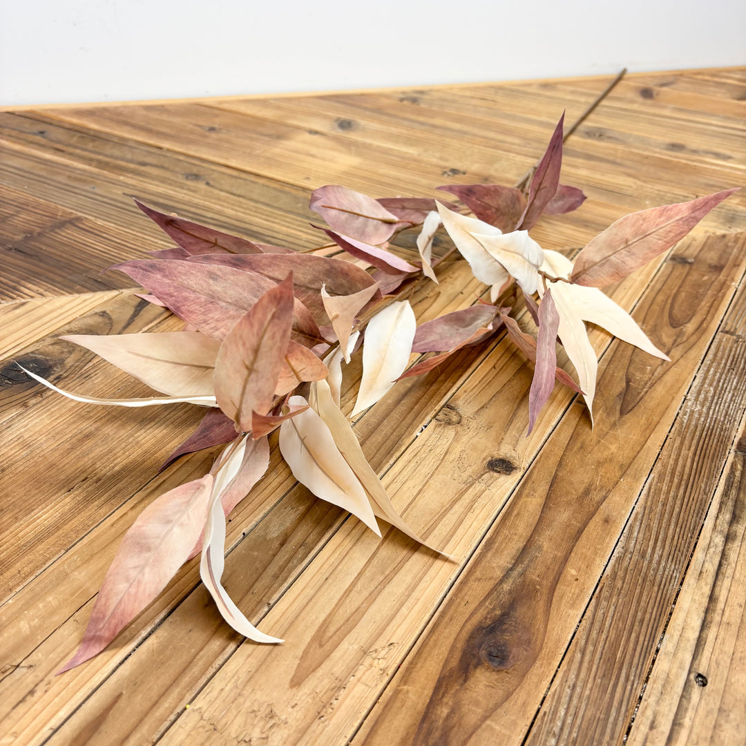 Silver Blade Eucalyptus