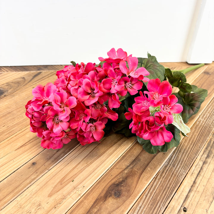 Geranium Bush