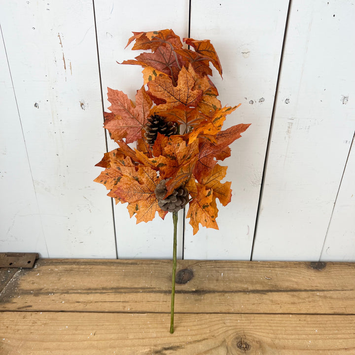 Maple Leaf Collection