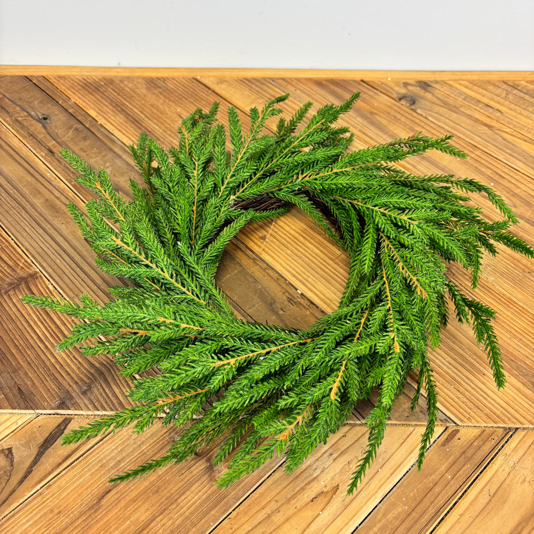 Real Feel Norfolk Pine Collection