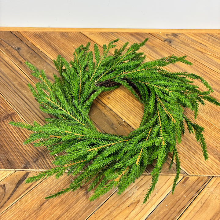 Real Feel Norfolk Pine Collection