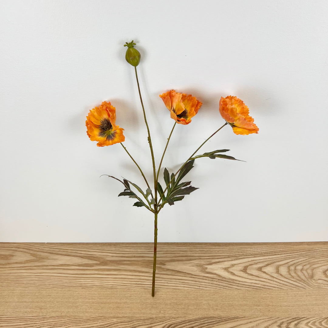Fall Poppy Stems - 3 Colors