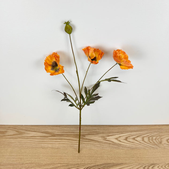 Fall Poppy Stems - 3 Colors