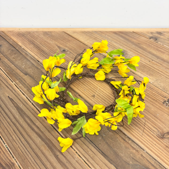 Forsythia Collection