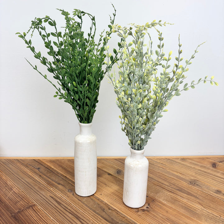 English Boxwood - 2 Colors