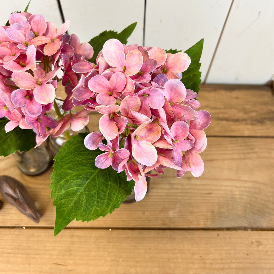 Pink Hydrangea Design Kit