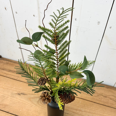 Mixed Pine Stem