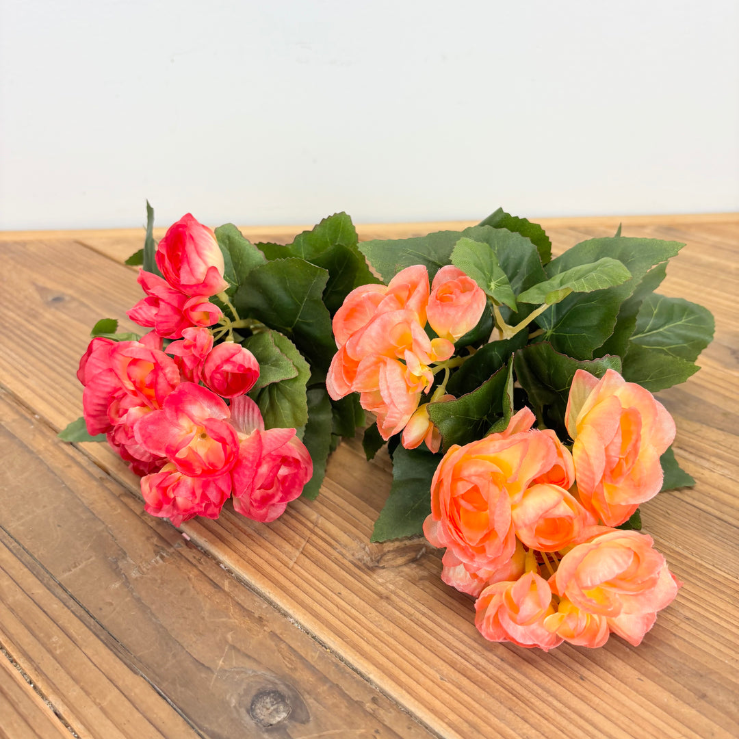 Begonia Bush - 2 Colors