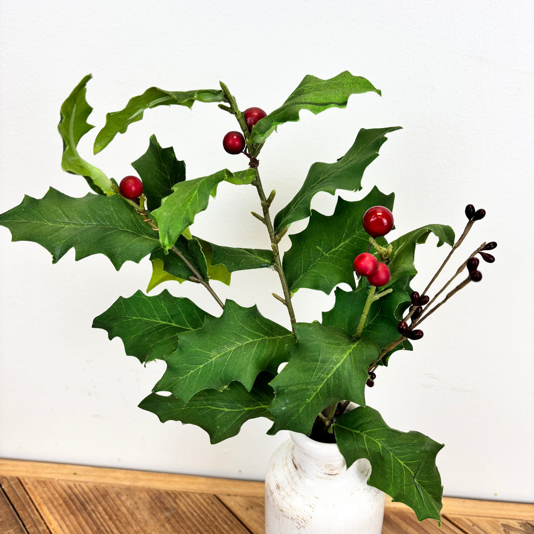 Holly Stem