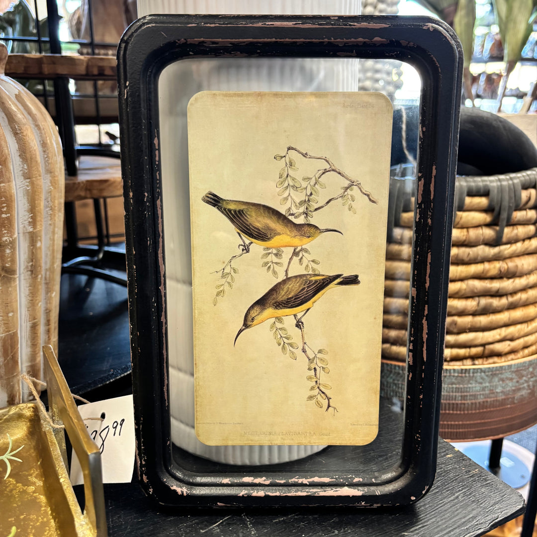 Distressed Wood Framed Bird Wall Decor- 6 Styles