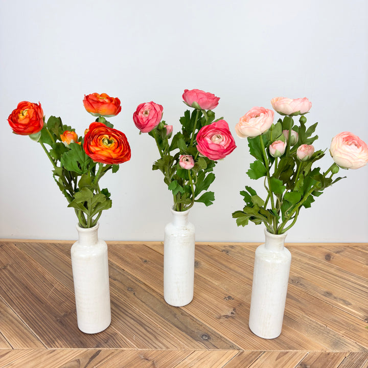 Ranunculus Bundle - 3 Colors