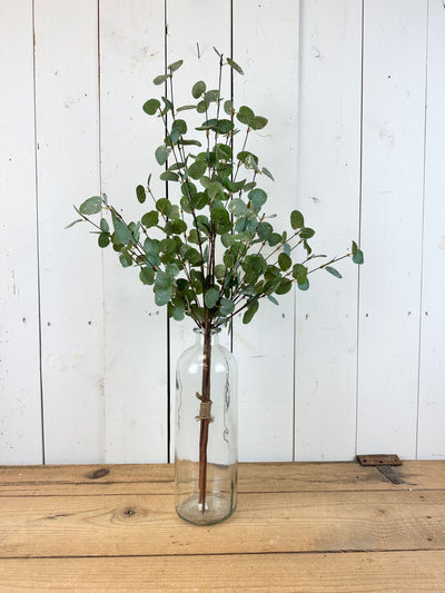Sparkly Eucalyptus Tall Stem Bundle