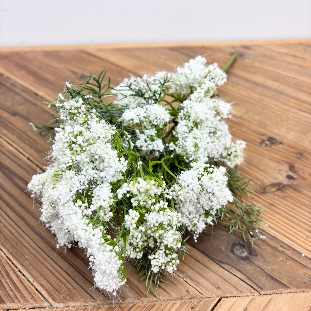 Queen Anne's Lace Stem