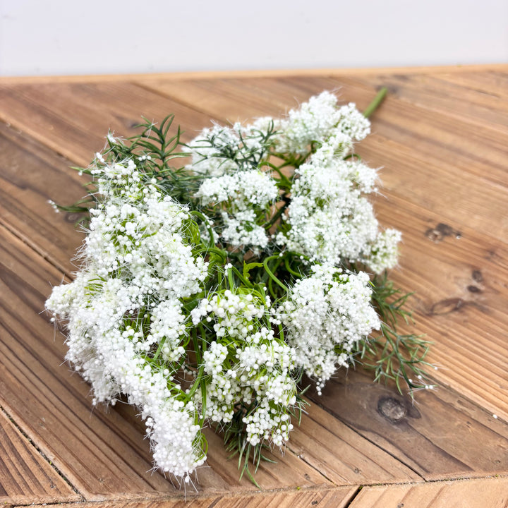 Queen Anne's Lace Stem