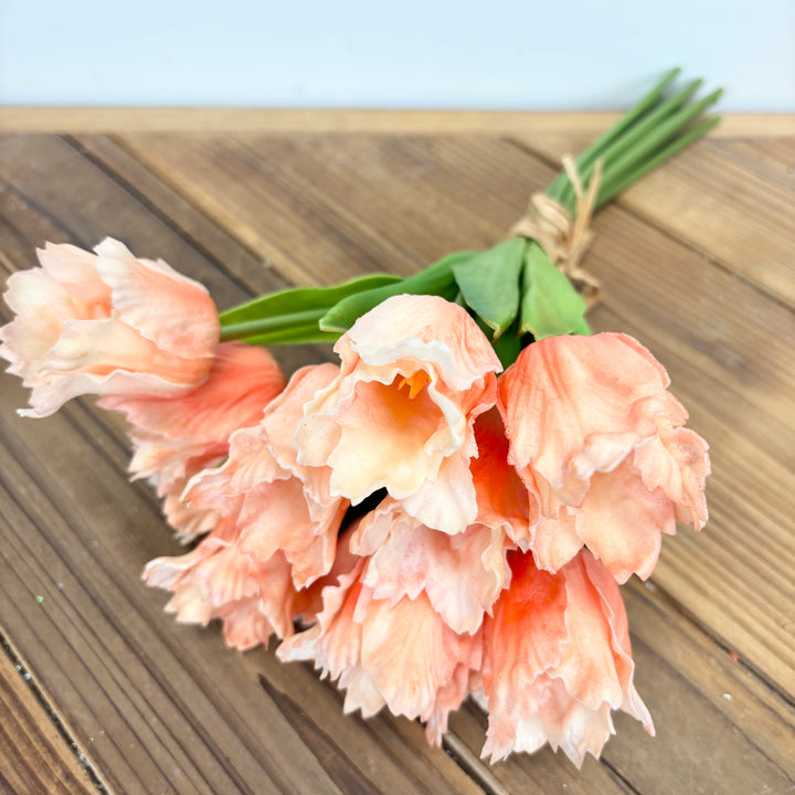 Parrot Tulip Bundle - 2 Colors