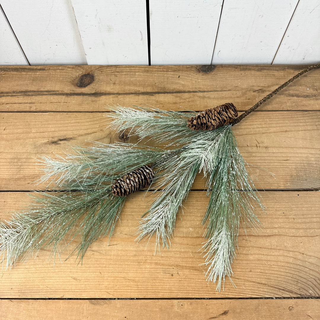 Icy Long Pine Stem