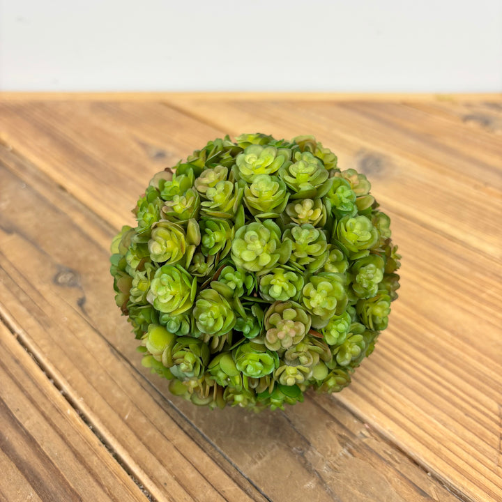 Succulent Orb - 4 Colors