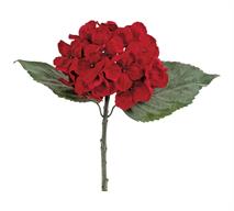 Velvet Hydrangea Stem