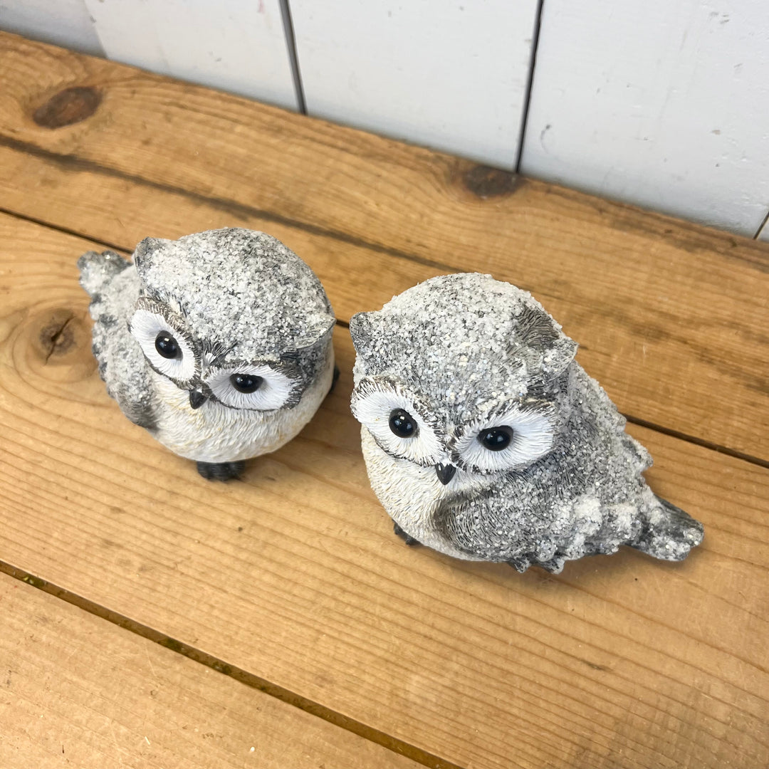 Snowy Resin Owls - Set of 2