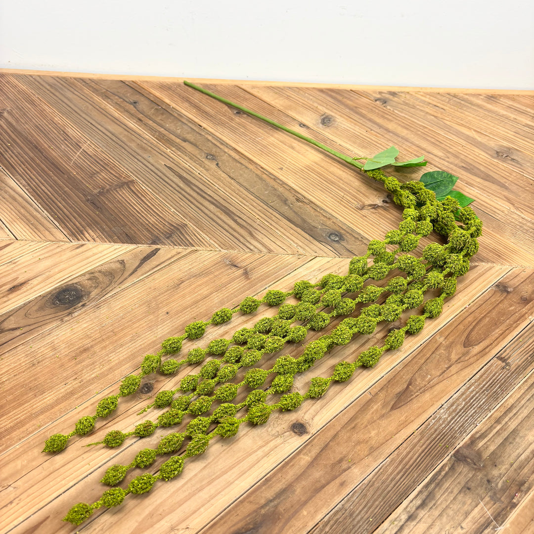Hanging Amaranthus Spray