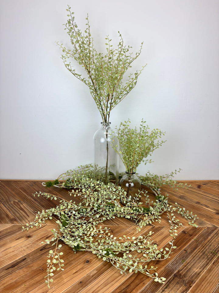 Button Leaf Collection