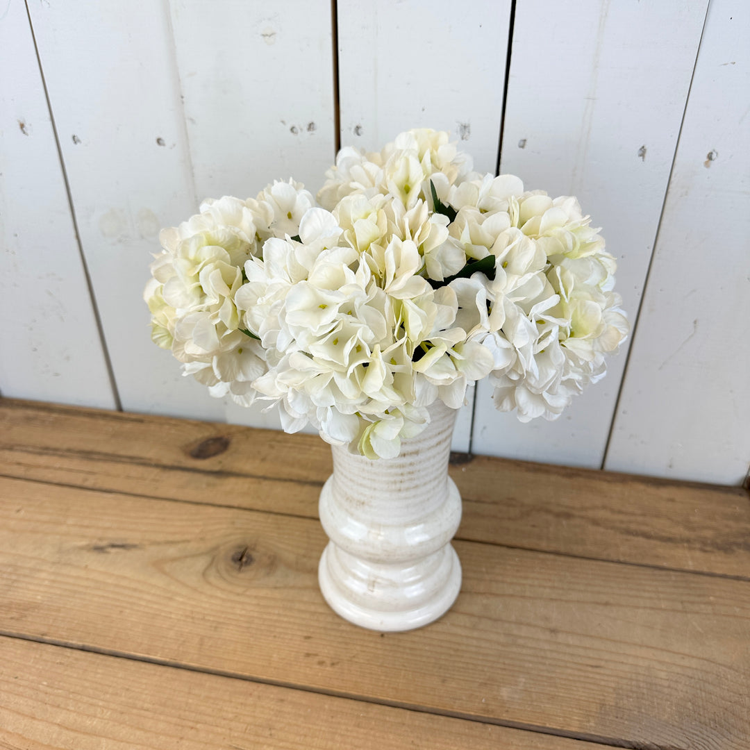 Dried Spring Hydrangea Stems