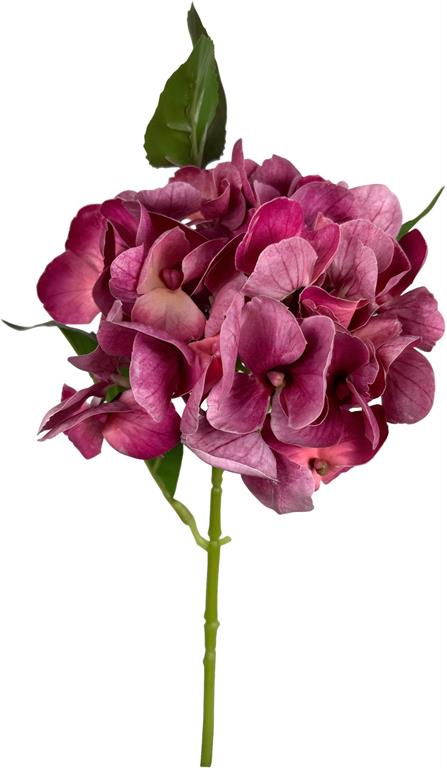 Hydrangea Stems - 3 Colors