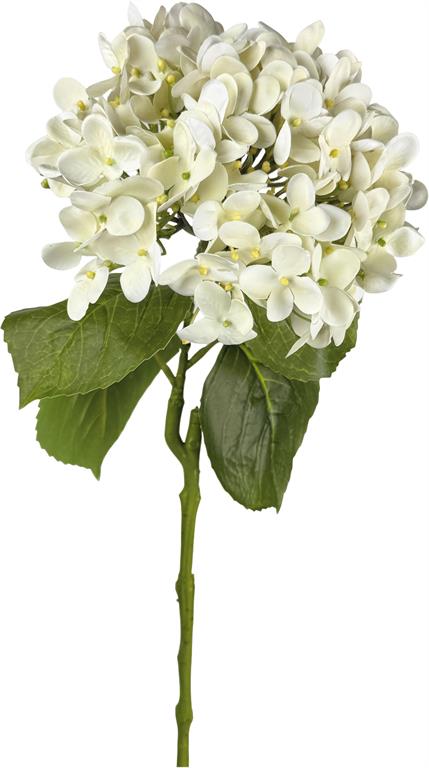 Hydrangea Spray - Cream/White