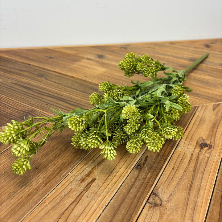 Sedum Bouquet - 2 Colors